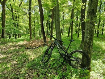 Kellys Theos F70 - 2