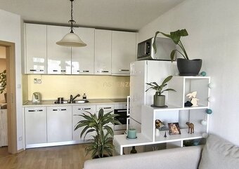ASSENZIO – PRENAJOM – 2 IZBOVÝ BYT 50m2 – JEGEHO ALEJ – RUŽI - 2