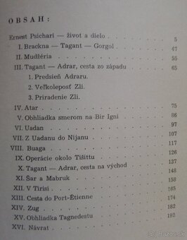 Hlasy na púšti - Zápisník z Afriky - 2