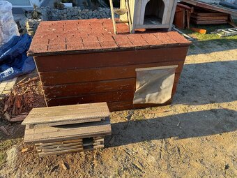 Buda pre psa, macku - 2