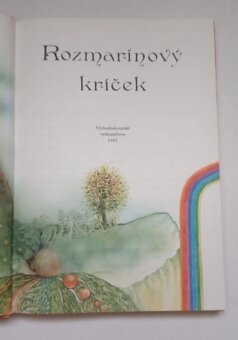 Rozmarínový kríček (Maja Boskovic - Stulli) - 2