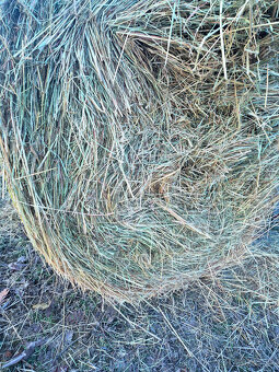 seno okrúhle balíky 130x130 - 2