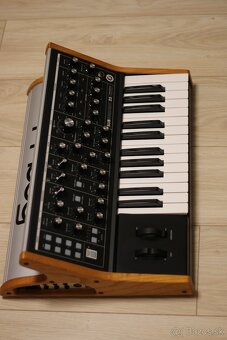 Moog Subsequent 25 - 2