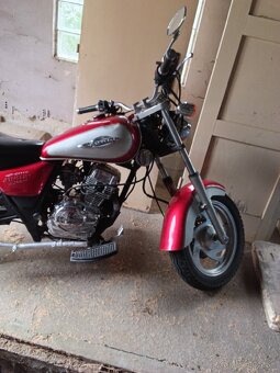 KRASNY CHOPPER BEZ P. - 2