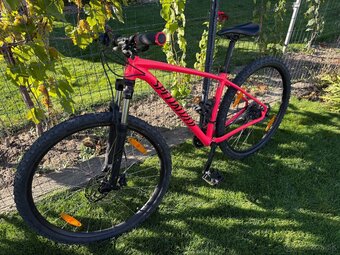 Specialized Rockhopper 29 - 2