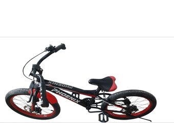 Bicykel 20 - 2