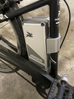 Pegasus e bike - 2