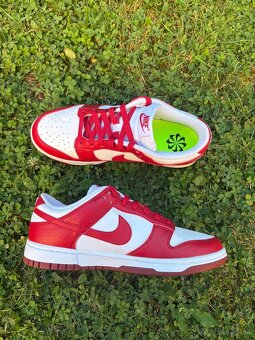 Nike Dunk - 2