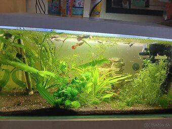 Predám zabehnute akvarium - 2