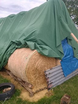 Predám balíkované seno - 2