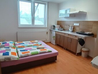 Ubytovanie Štúrovo Anna - 2