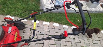 Kosacka hecht 5483sw - 2