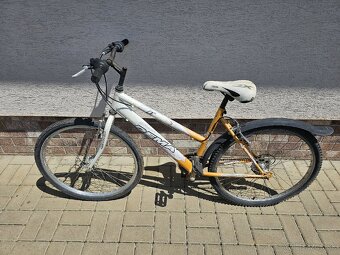Dámsky bicykel - 2