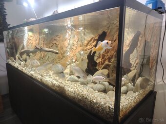 Predám akvárium plus stojan železný - 2