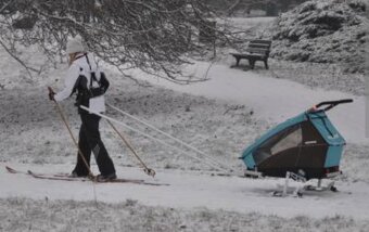 Cyklo/Skialp/bežecký vozík pre 2 deti - 2
