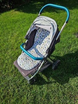 Predam Kociky Oyster - 2