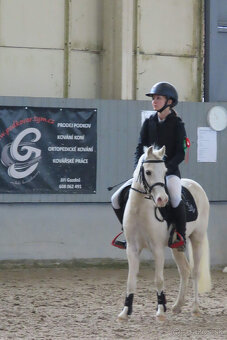 mladá perspektivní pony holčička - 2
