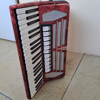 Harmonika Delicia - 2