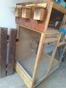 Voliera a zebricky - 2