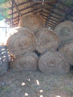 SLAMA, PROSOVE SENO - 2