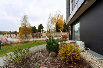 Na prenájom nebytový priestor centrum Prešov - 2