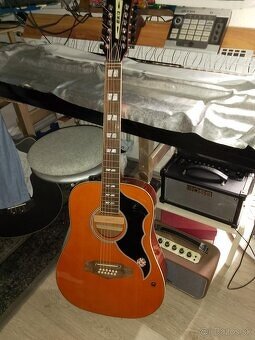 12 strunová gitara Eko ranger - 2
