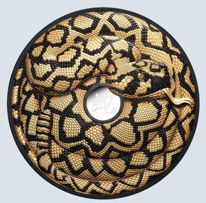 LUNAR SNAKE 5 Oz Strieborna minca 2025
- 2