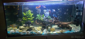 Predám 120l akvarium - 2