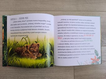 Kniha Misia škôlka - 2