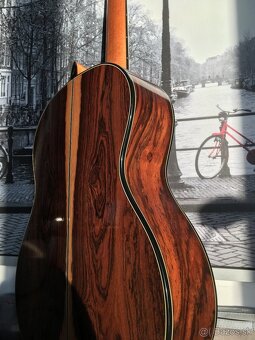COCOBOLO prémiová gitara Merida Extrema - 2