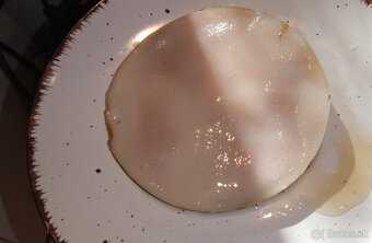 DOMÁCA KOMBUCHA – kultúra (huba SCOBY) - 2