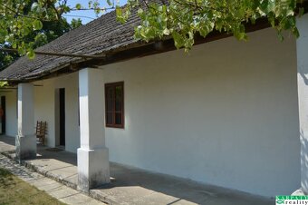 Chalúpka v typickom štýle Záhoria, pod starou lipou - 2