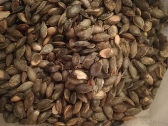 Predám tekvicové jadierka - 2