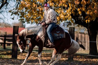 tréning koní - obsadanie - 2