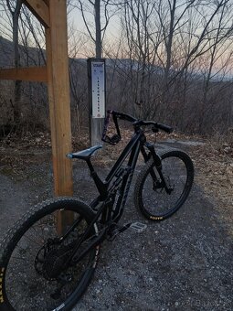 Canyon Torque CF 7 2022 L 29 - 2