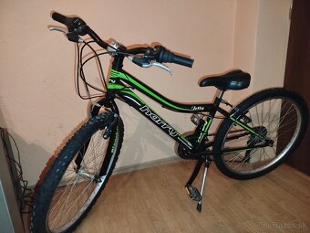 Detský bicykel 24 Harry - 2