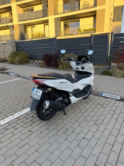 Honda PCX 2023 - 2