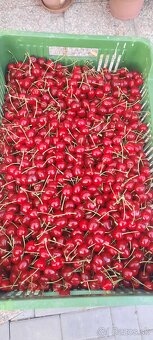 Čerešne - 2