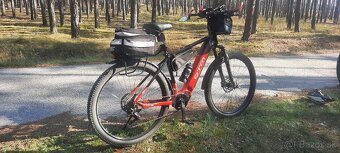 CTM PULZE XPERT 29 veľ. rámu 19 - 2