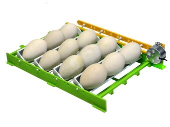 Liska na husacie vajcia CIMUKA GT03 - 2