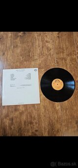 LP platne - 2