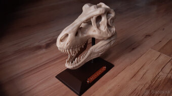 Lebka Tyrannosaura Rexa - 2