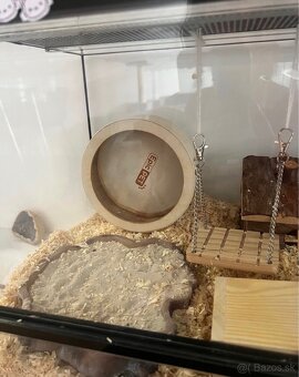 Terarko terarium so škrečkom skrecok agama gekon - 2