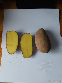 Zemiaky 0 20e/kg - 2