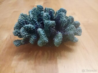 Dekorácia do akvária koral - 2