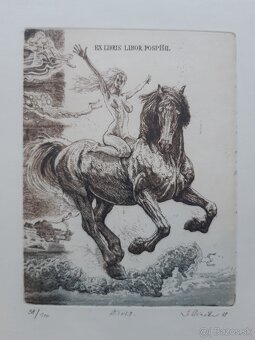 Igor Piačka – Živly - 2