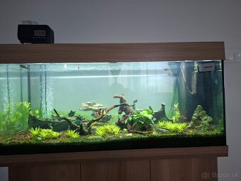 Akvarium Juwel Rio 180 - 2