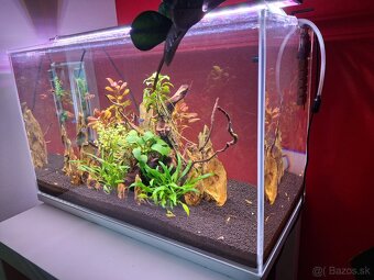 Predám Akvárium - 60l - 2