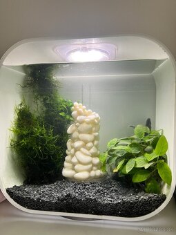 BiOrb akvárium. - 2