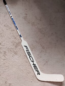Hokejka - 2